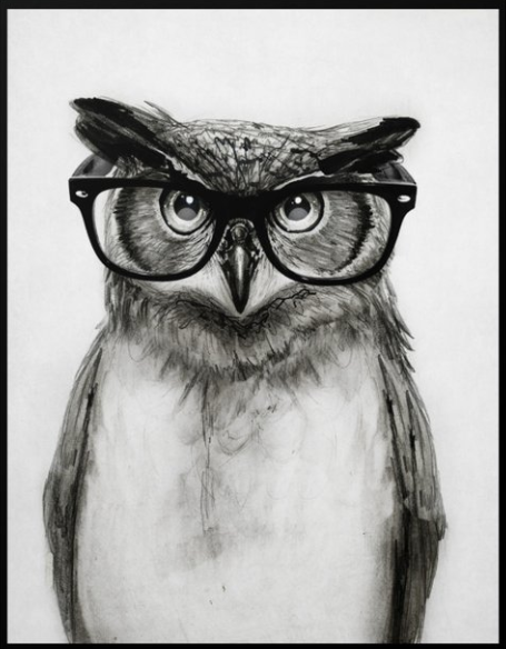 owl with glasses
